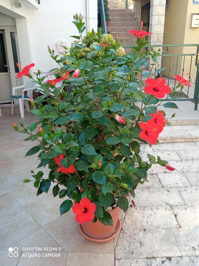 Apartments Sime Trogir Bagian luar foto