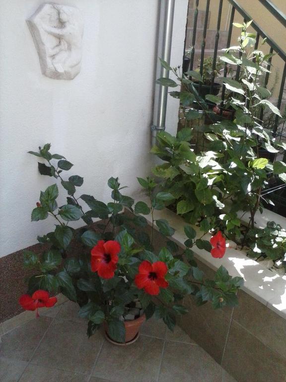 Apartments Sime Trogir Bagian luar foto